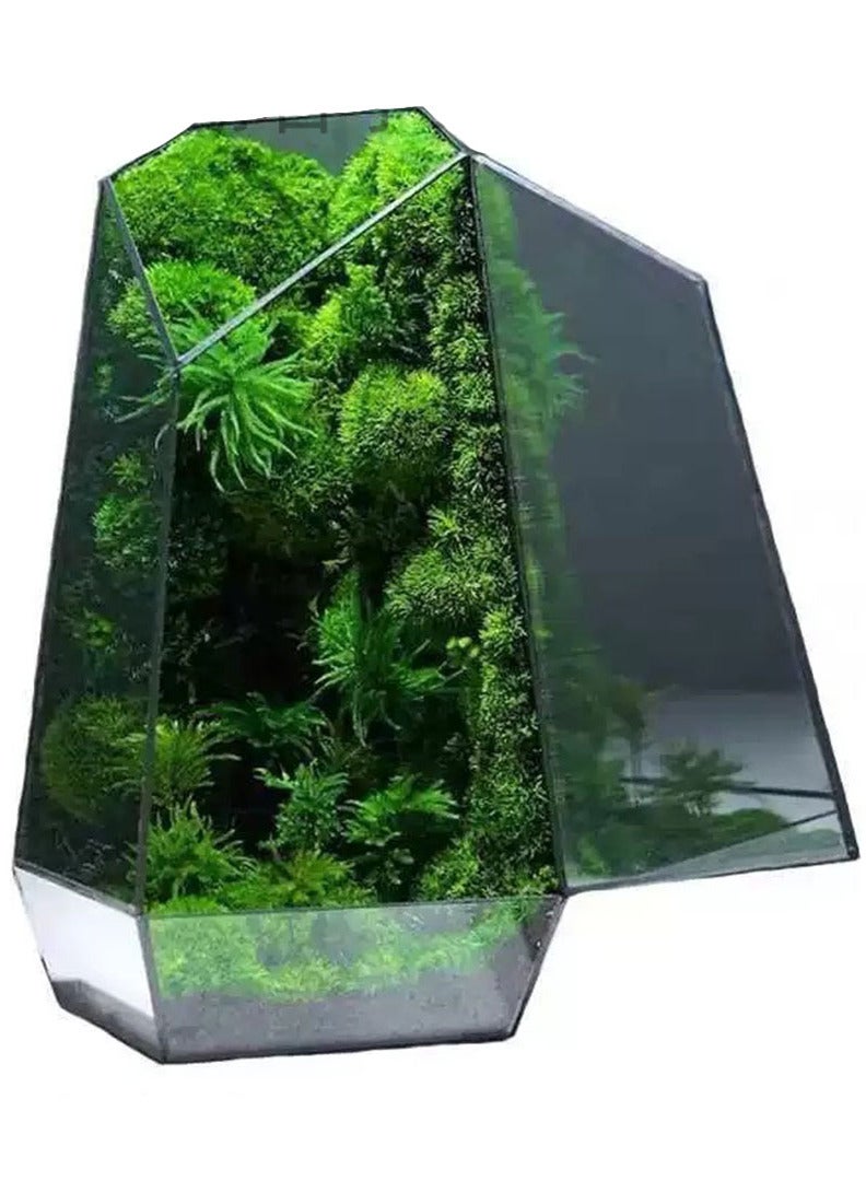 حوض تيراريوم بالوداريوم - Image 5