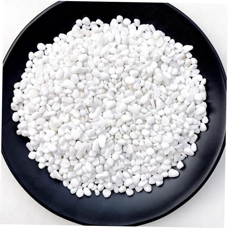 حصى أحواض السمك أحجار زخرفية حصى طبيعي حشو للنباتات وتنسيق الحدائق 2 رطل - Image 4