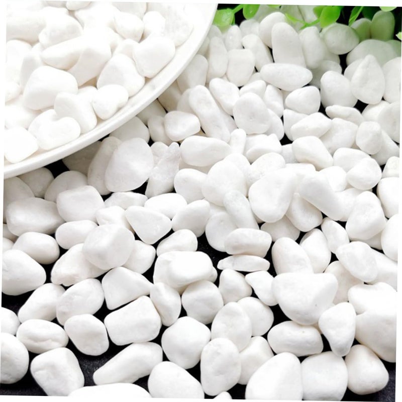 حصى أحواض السمك أحجار زخرفية حصى طبيعي حشو للنباتات وتنسيق الحدائق 2 رطل - Image 5