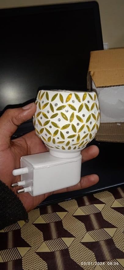 Decorative Electric Oil Burner Night Light Floral Pattern Globe Design Wall Plugin  - Image 4
