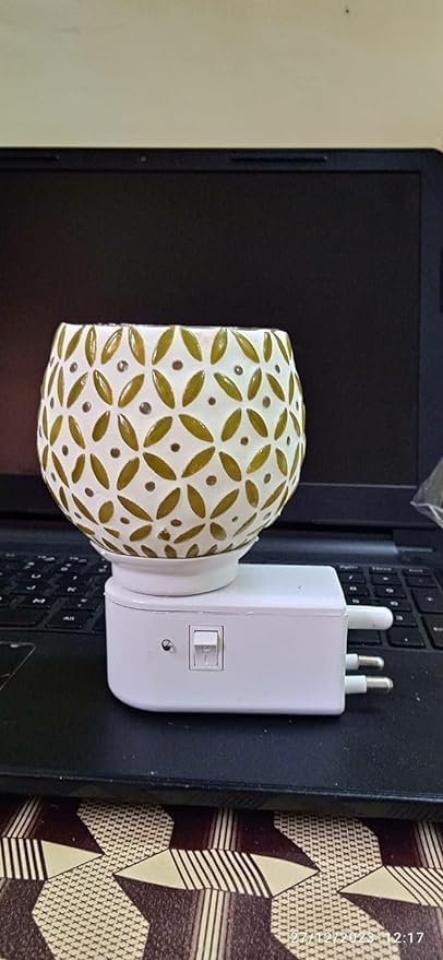 Decorative Electric Oil Burner Night Light Floral Pattern Globe Design Wall Plugin  - Image 3