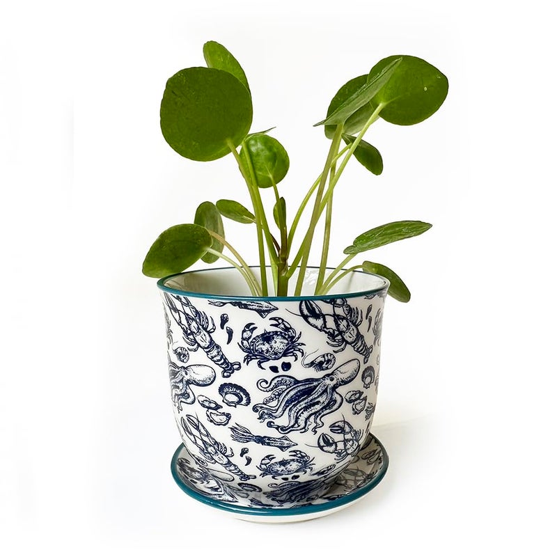CHIVE 'Liberte' Set of 3 Ceramic Succulent Planters, Cute Vintage Style Pots for Indoor Plants, Beautiful Home and Kitchen Decor, Green Red Blue (Mix 8) - Image 4