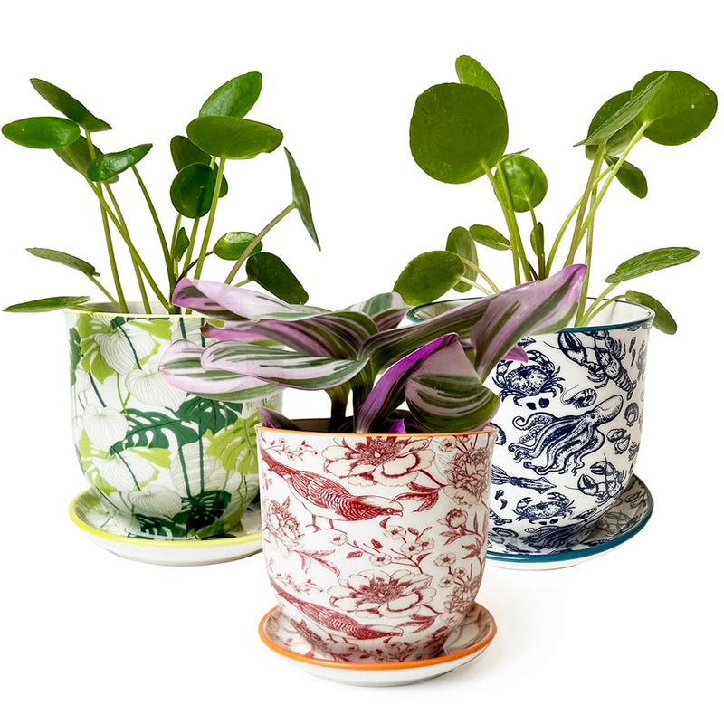 CHIVE 'Liberte' Set of 3 Ceramic Succulent Planters, Cute Vintage Style Pots for Indoor Plants, Beautiful Home and Kitchen Decor, Green Red Blue (Mix 8) - Image 1
