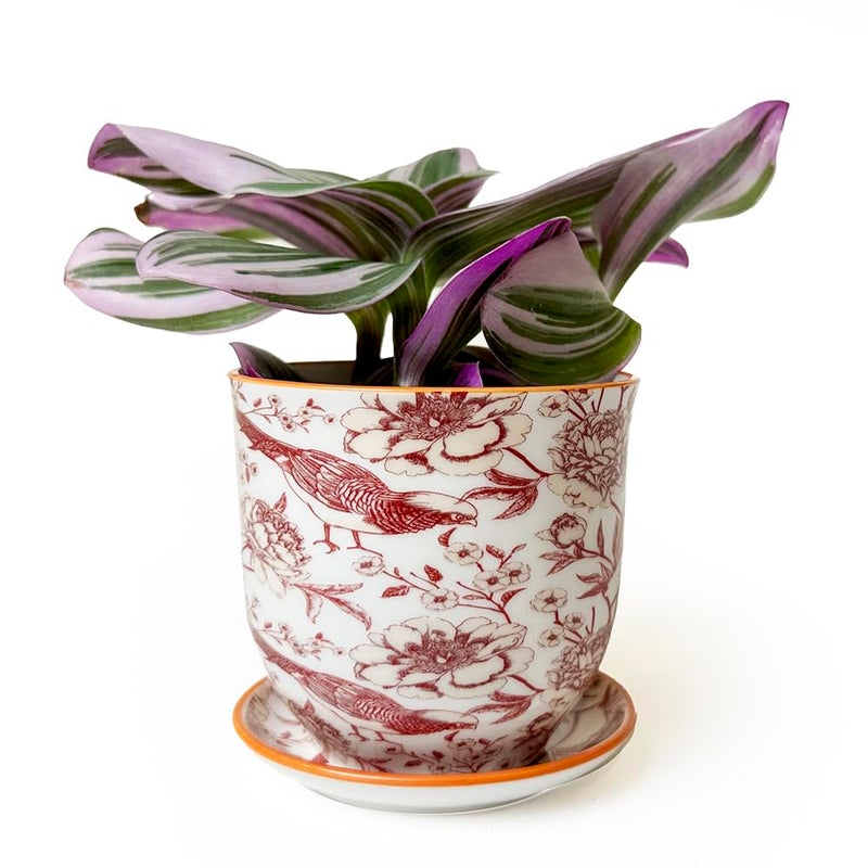 CHIVE 'Liberte' Set of 3 Ceramic Succulent Planters, Cute Vintage Style Pots for Indoor Plants, Beautiful Home and Kitchen Decor, Green Red Blue (Mix 8) - Image 3