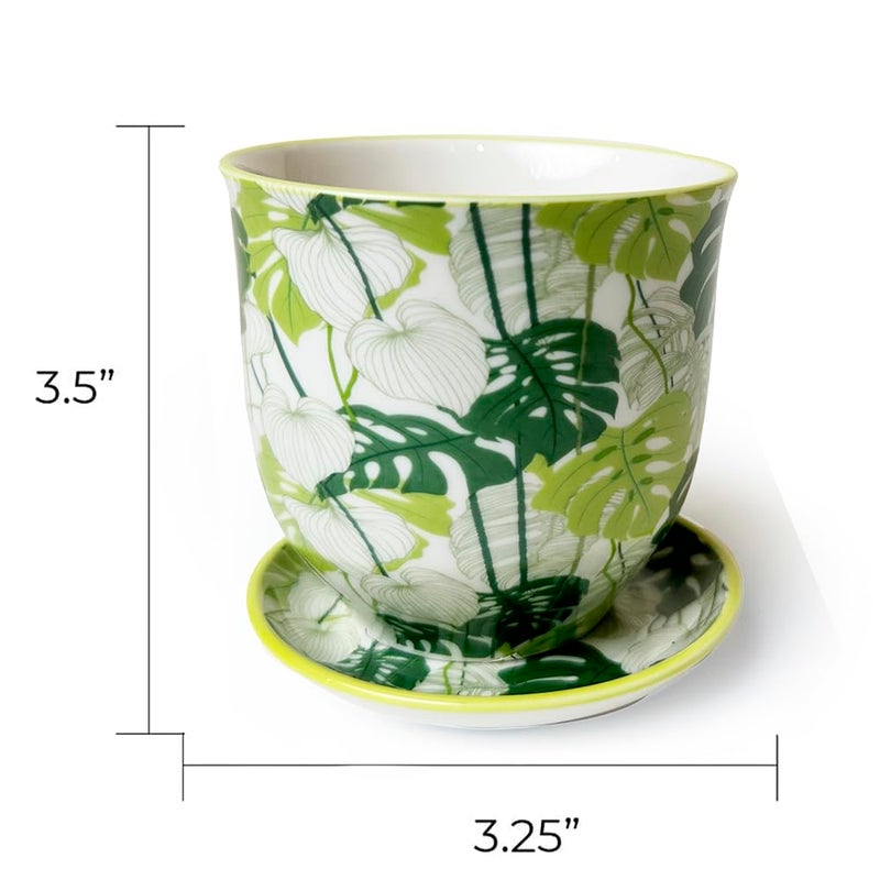 CHIVE 'Liberte' Set of 3 Ceramic Succulent Planters, Cute Vintage Style Pots for Indoor Plants, Beautiful Home and Kitchen Decor, Green Red Blue (Mix 8) - Image 5