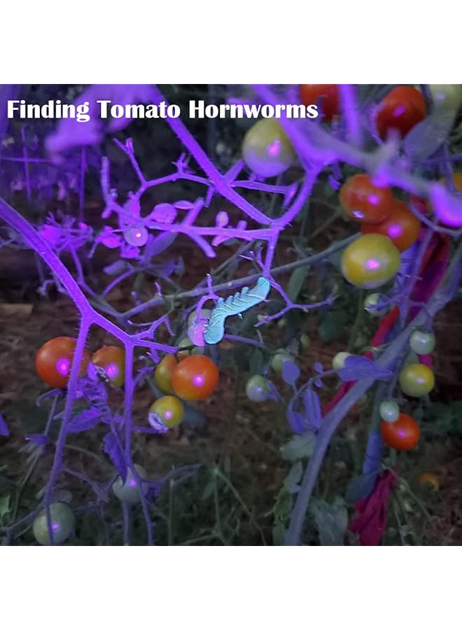 Excefore Blacklight UV Flashlight 21 LED 395nm Portable Black Light for Pet Urine Detection Scorpion Resin Curing Bed Bug Detection Nail Art - Image 5