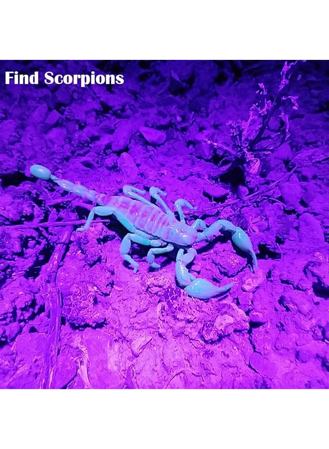 Excefore Blacklight UV Flashlight 21 LED 395nm Portable Black Light for Pet Urine Detection Scorpion Resin Curing Bed Bug Detection Nail Art - Image 4