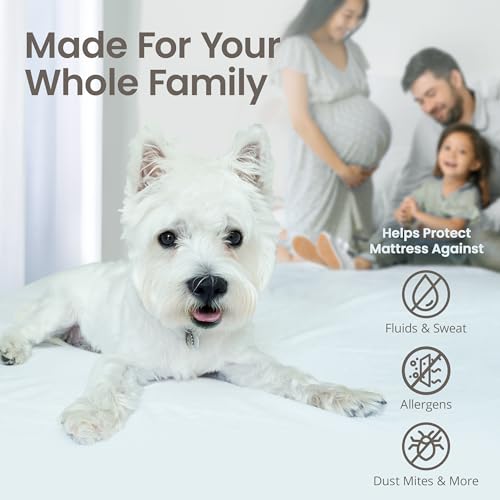 SafeRest Waterproof Mattress Protector Twin Size – Absorbent Breathable Soft Fitted Bed Cover with 18" Deep Stretchable Pockets – Machine Washable Twin Mattress Cover - Image 4