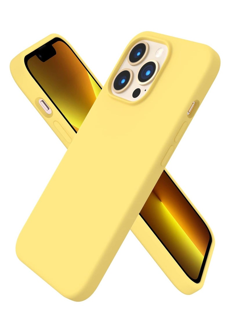 BORTONY Protective Case Cover For Apple iPhone 13 Pro - Image 1