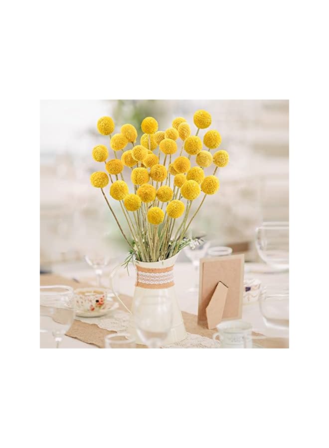 The Bros 20 PCS Natural Dried Flowers, Golden Balls Golden Hammer Flowers Dried Flower Bouquet, Floral Bouquet for Flower Arrangement Wedding Home Tall Vase Decoration, Craspedia Billy Balls Flowers - Image 4
