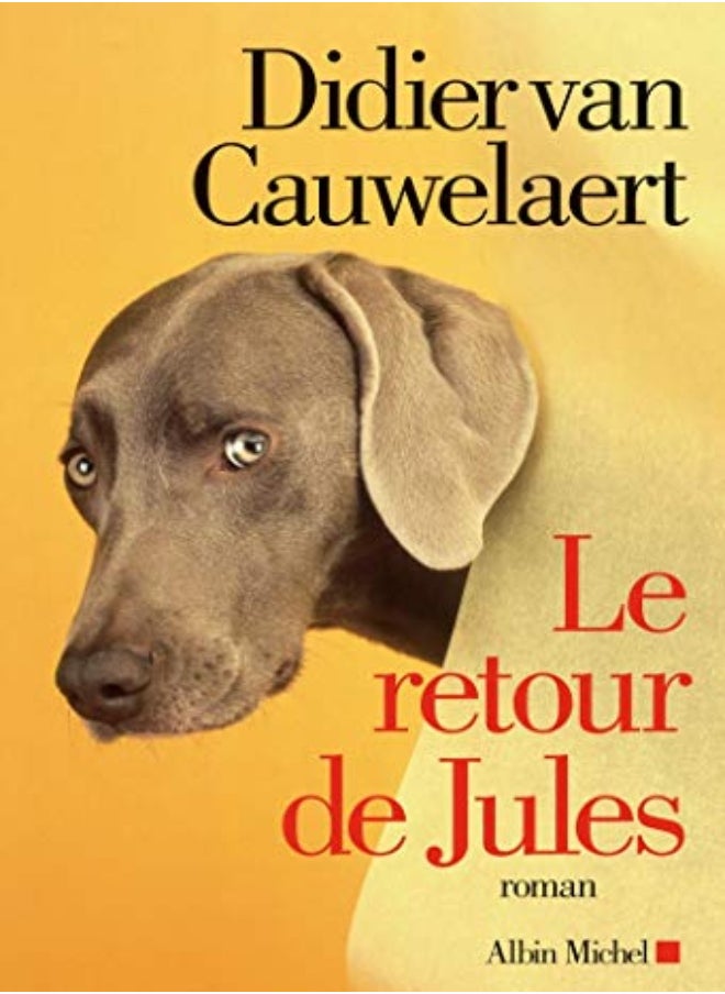 Le retour de Jules 