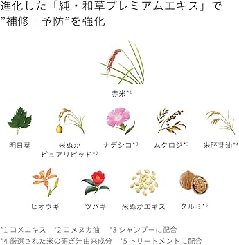 Ichikami Smooth Care Hair Conditioner Pump 480ml - Image 5