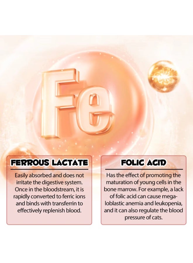 Oimmal مكملات الحديد السائلة للقطط 60 مل بنكهة الكراميل - Image 3