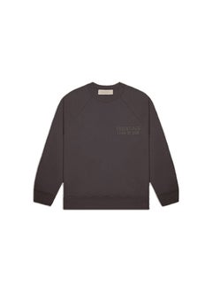Generic 2023SS Round Neck Fleece Sweatshirt FOG ESSENTIALS Print Fog Blue  - Image 3