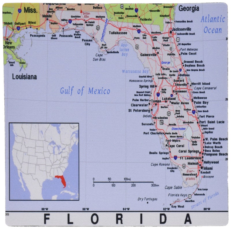 3drose Print of Florida Cities and State Map - Mouse Pad, Rubber