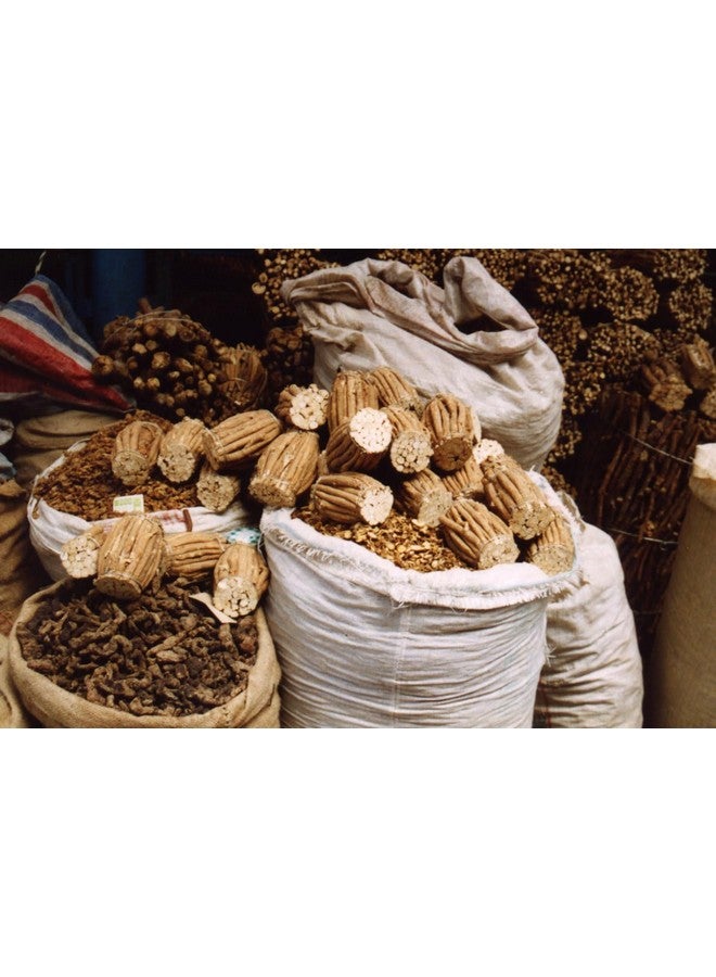Dragon Herbs - Astragalus Root Drops - 2 fl oz - Image 4