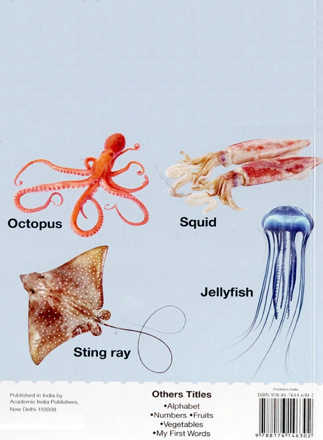 BOARD BOOK OF ANIMALS AND INSECTS - Image 2