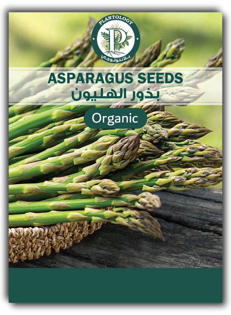 Asparagus Seeds for Planting in Home Garden and Lawn - 2 Packets - Image 1