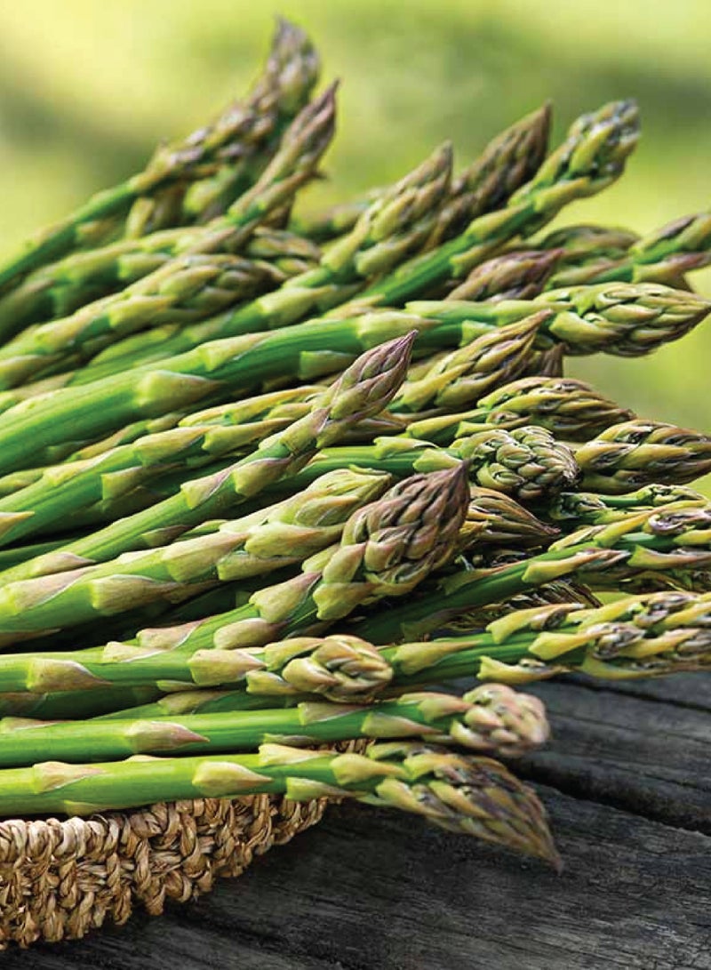Asparagus Seeds for Planting in Home Garden and Lawn - 2 Packets - Image 2