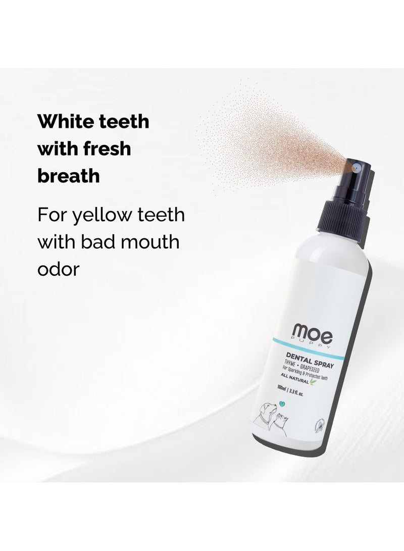 Moe Puppy Moe Dental Spray for Dogs and Cats - Oral Spray for Dog Controls Plaque & Tartar, Freshens Breath | Aloe Vera, Grapeseed, Thyme | Dog Dental Care (100 ML)  - Image 3