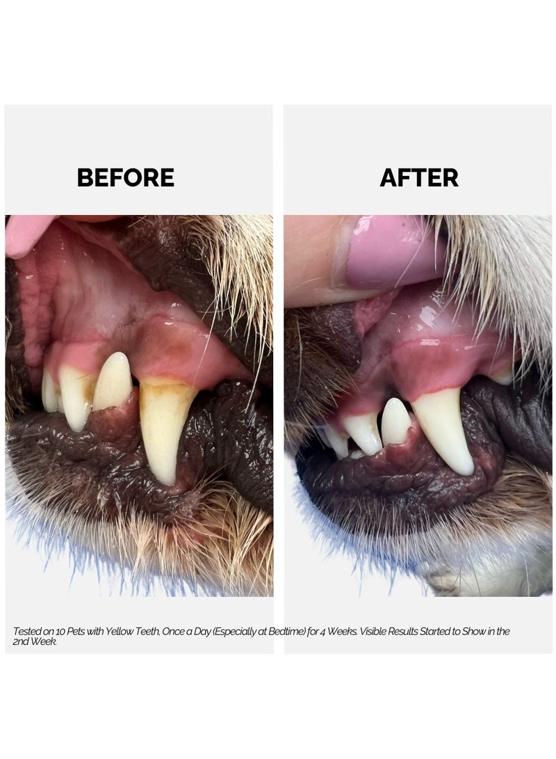 Moe Puppy Moe Dental Spray for Dogs and Cats - Oral Spray for Dog Controls Plaque & Tartar, Freshens Breath | Aloe Vera, Grapeseed, Thyme | Dog Dental Care (100 ML)  - Image 5