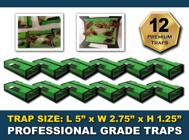 MaxGuard Roach + Spider Traps (12 Per Box) Non-Toxic Extra Sticky Box Traps | Kill German Cockroach, American and Oriental Plus Crawling Bugs & Insects House - Image 3
