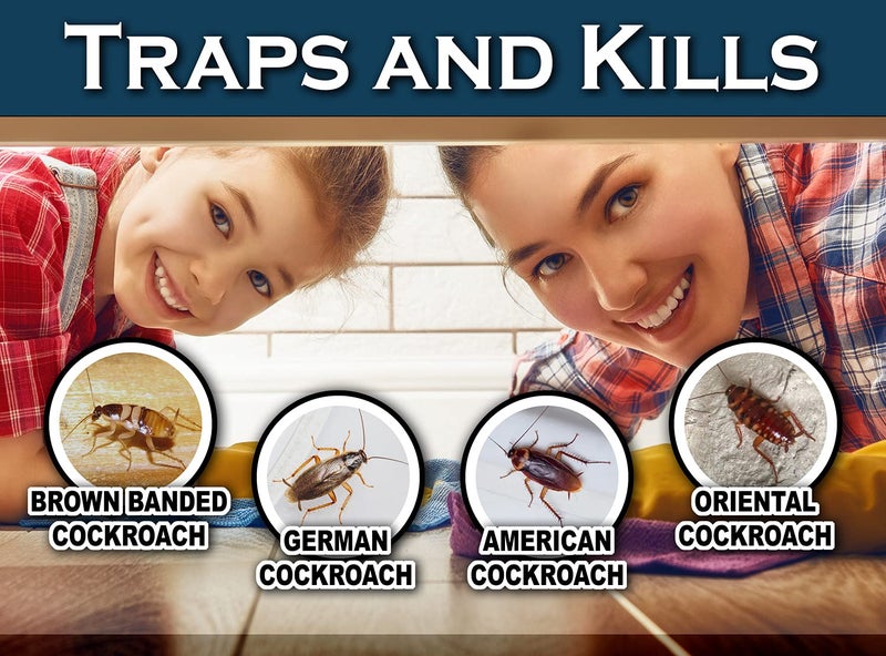 MaxGuard Roach + Spider Traps (12 Per Box) Non-Toxic Extra Sticky Box Traps | Kill German Cockroach, American and Oriental Plus Crawling Bugs & Insects House - Image 4