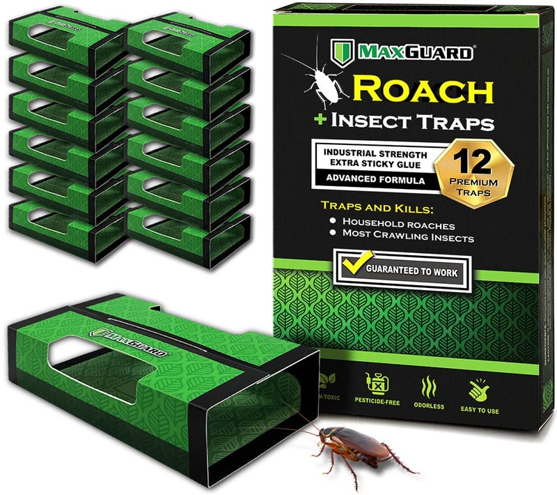 MaxGuard Roach + Spider Traps (12 Per Box) Non-Toxic Extra Sticky Box Traps | Kill German Cockroach, American and Oriental Plus Crawling Bugs & Insects House - Image 1