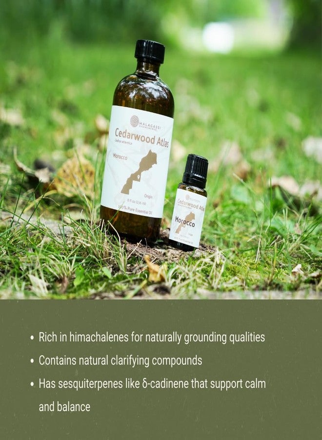Nature Packaged Pure Cedarwood (Atlas) Essential Oil (2lbs) - Direct from Malagassi Essential Oils Farm in Morocco - Essential Oils for Diffusers and Aromatherapy | Pure Therapeutic Grade - Image 5