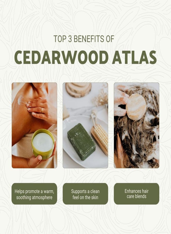 Nature Packaged Pure Cedarwood (Atlas) Essential Oil (2lbs) - Direct from Malagassi Essential Oils Farm in Morocco - Essential Oils for Diffusers and Aromatherapy | Pure Therapeutic Grade - Image 2