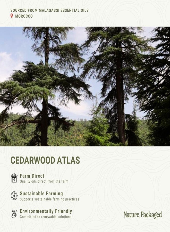Nature Packaged Pure Cedarwood (Atlas) Essential Oil (2lbs) - Direct from Malagassi Essential Oils Farm in Morocco - Essential Oils for Diffusers and Aromatherapy | Pure Therapeutic Grade - Image 3