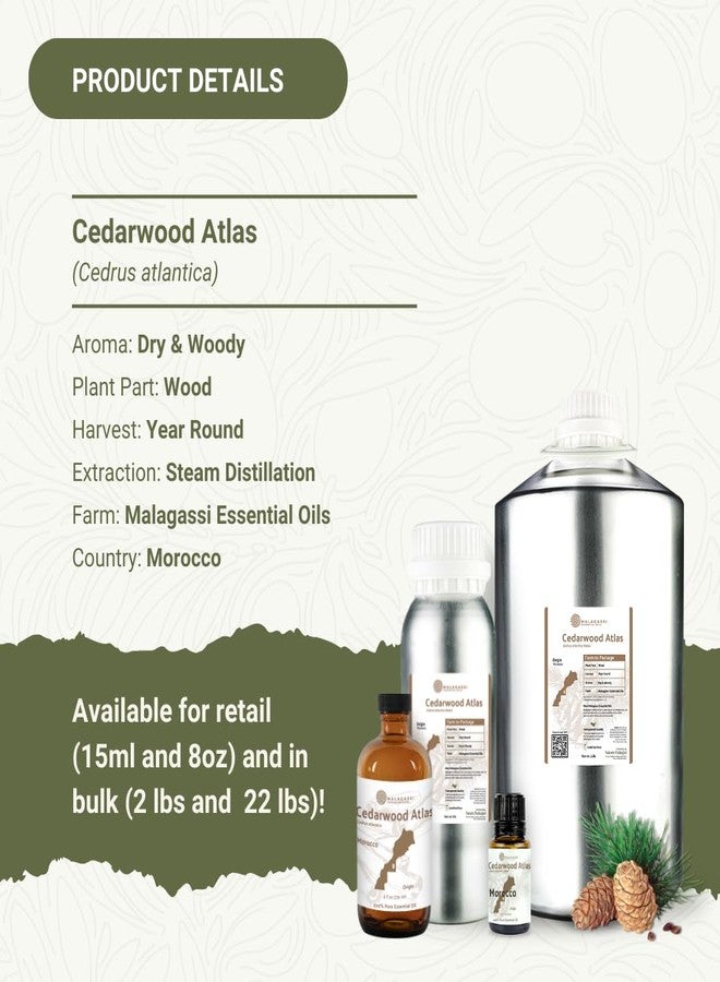 Nature Packaged Pure Cedarwood (Atlas) Essential Oil (2lbs) - Direct from Malagassi Essential Oils Farm in Morocco - Essential Oils for Diffusers and Aromatherapy | Pure Therapeutic Grade - Image 4