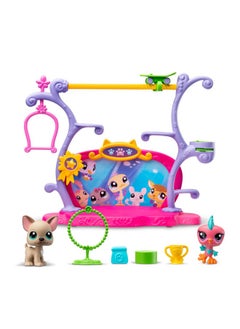 Littlest Pet Shop , Pets Got Talent Play Set - Gen 7, Pets #67 & #66, Authentic Lps Bobble Head Figure, Collectible Imagination Toy Animal, Kidults, Girls, Boys, Kids, Tweens Ages 4+  - Image 2