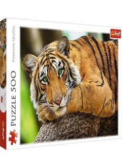 TREFL - 500 Piece Jigsaw Puzzle - Tiger - 37397 - pzsku/ZF9E75F8580CDCC1A77B9Z/45/_/1719579320/0b143b5c-bfee-45cc-b505-e3a56b8410a8