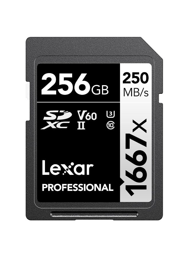 Lexar 256GB Professional 1667x SDXC Memory Card, UHS-II, C10, U3, V60, Full-HD & 4K Video, Up To 250MB/s Read, for Professional Photographer, Videographer, Enthusiast (LSD256CBNA1667) 256 GB - Image 1