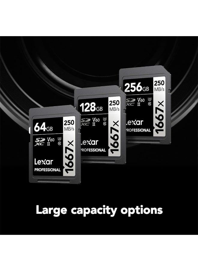 Lexar 256GB Professional 1667x SDXC Memory Card, UHS-II, C10, U3, V60, Full-HD & 4K Video, Up To 250MB/s Read, for Professional Photographer, Videographer, Enthusiast (LSD256CBNA1667) 256 GB - Image 5