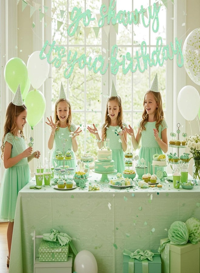 بيشيدا لافتة عيد ميلاد بيشيدا "Go Shawty It's Your Birthday" جاهزة للاستخدام، بتصميم هيب هوب، ولا تحتاج إلى تركيب يدوي. لافتة عيد ميلاد جاهزة بتصميم راب، مناسبة للرجال والنساء، مستلزمات حفلات أعياد الميلاد، لون أخضر فاتح لامع. - Image 4