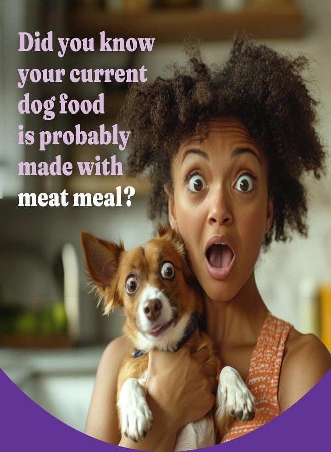 Halo Holistic Small Breed Dog Food, Cage Free Chicken & Sweet Potato Recipe, Grain Free Dry Dog Food, Complete Digestive Health, 10 lb Bag - Image 3