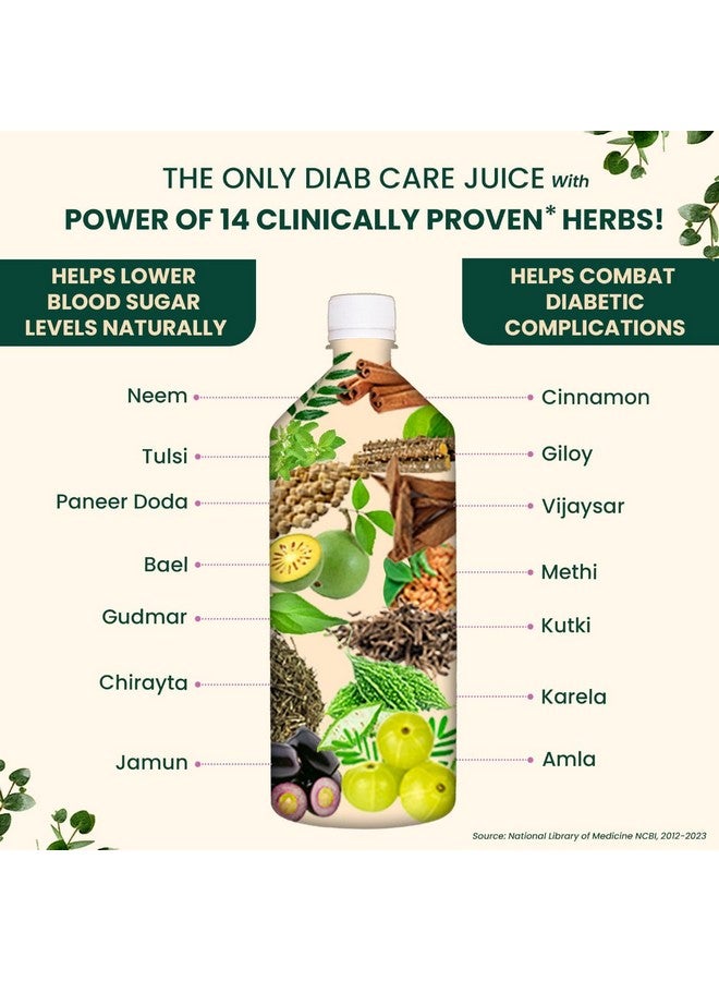 Vansaar 45+ Diab Balance Juice, 1L | Ayurvedic Diabetic Care Juice for 45+ Adults | Karela, Jamun, Neem, Paneer Doda, Cinnamon, & 9 more natural herbs | Manages Blood Sugar & Insulin Level - Image 5