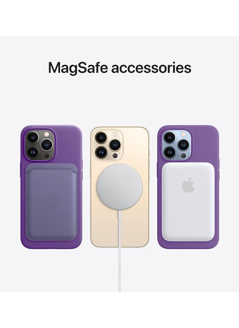 Wtech - Soft Liquid Silicone Case Cover With MagSafe For Apple iPhone 15 Pro 2023 Purple - Image 1