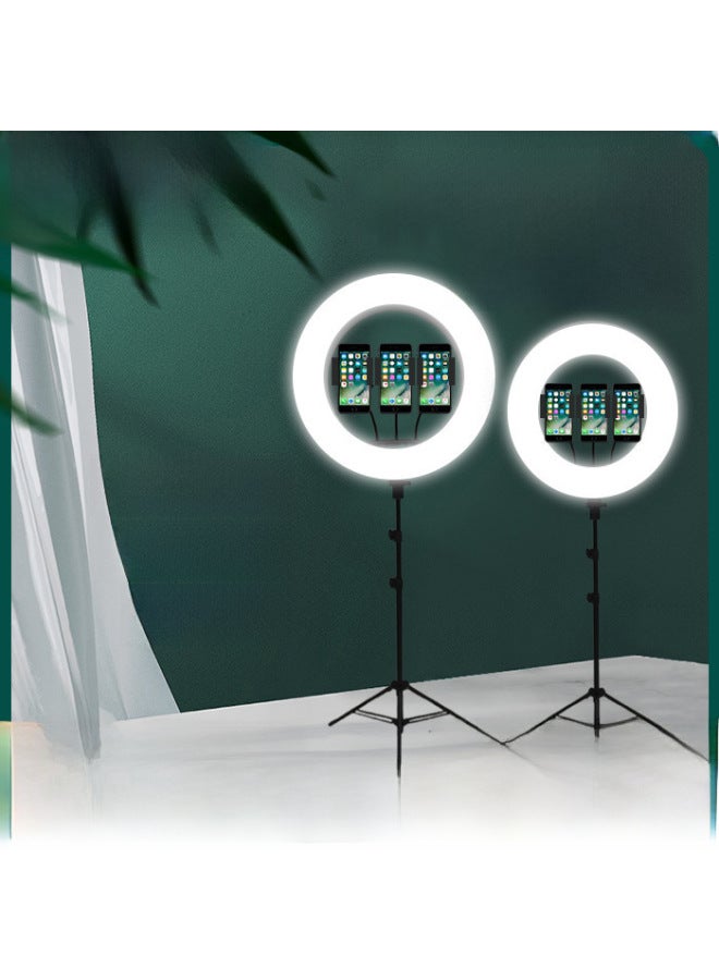 10-inch Fill Light Ring 13-inch Light 18-inch 45cm Touch Remote Control 6-inch Internet Celebrity Live Light LED Light Factory-Specifications:13 Inches/33CM  - Image 2
