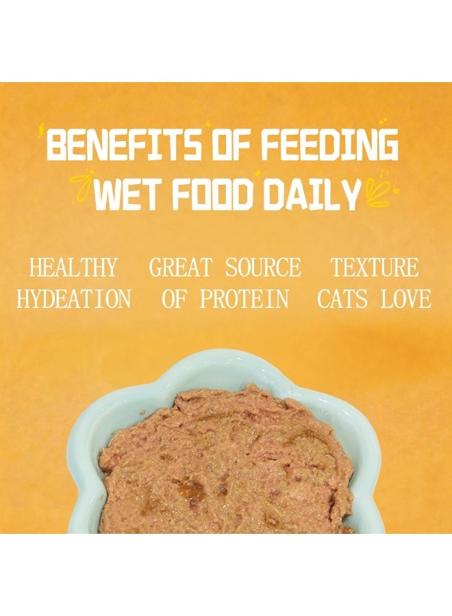 Petfull Salmon Wet Cat Food – 170g Grain-Free Canned Cat Food with Salmon Oil – Hydrolyzed Protein for Skin & Coat Health – Premium Main Meal for Cats & Kittens（Pack of 24） - Image 4