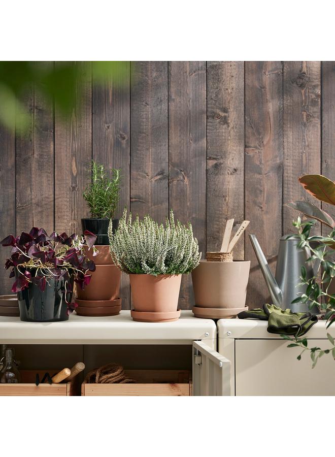 زبون وعاء نباتات مع صحن، للاستخدام الداخلي/الخارجي، بني، 12 سم - Image 3