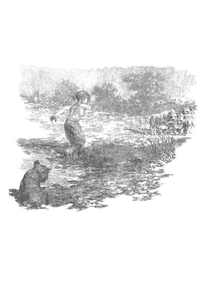 null - The Butterfly Lion - Image 1