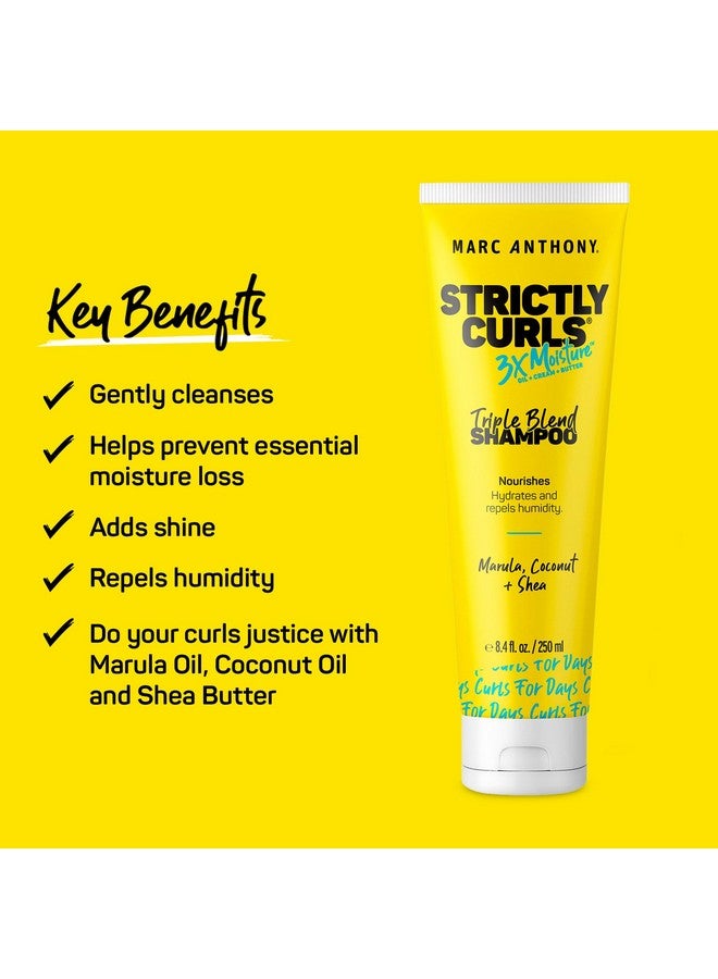Marc Anthony Curly Hair Shampoo, Strictly Curls - 3x Moisture For Curl Defining & Curl Enhancing - Shea Butter, Marula Oil, Aloe Vera & Coconut Cream - Sulfate Free & Color Safe For Dry Damaged Hair - Image 2