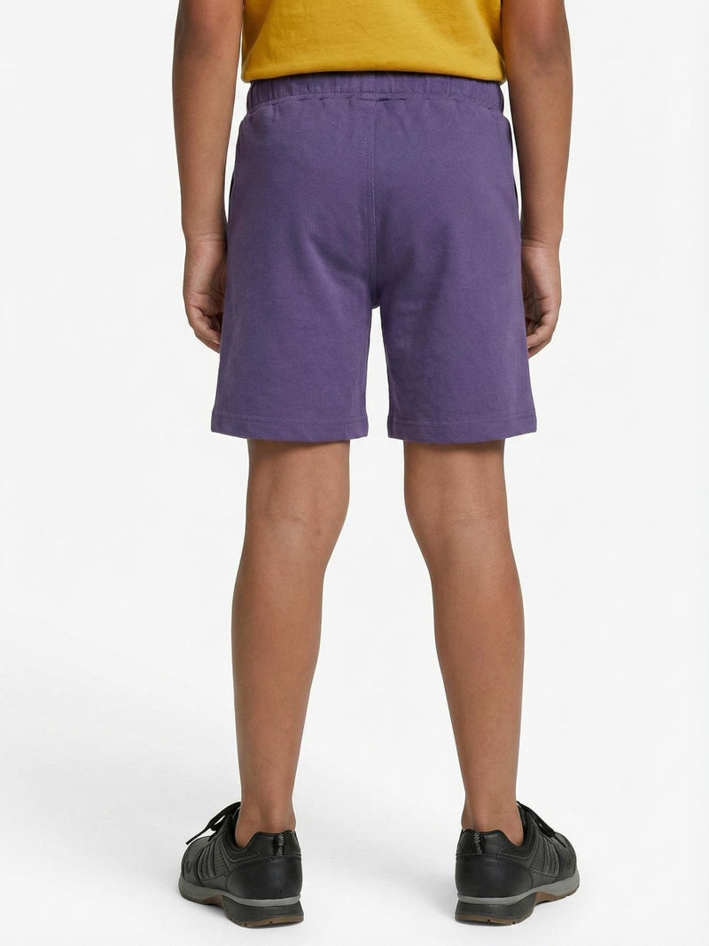 Hype Boys' shorts, ages 1 to 5 years, 8277 - Image 3