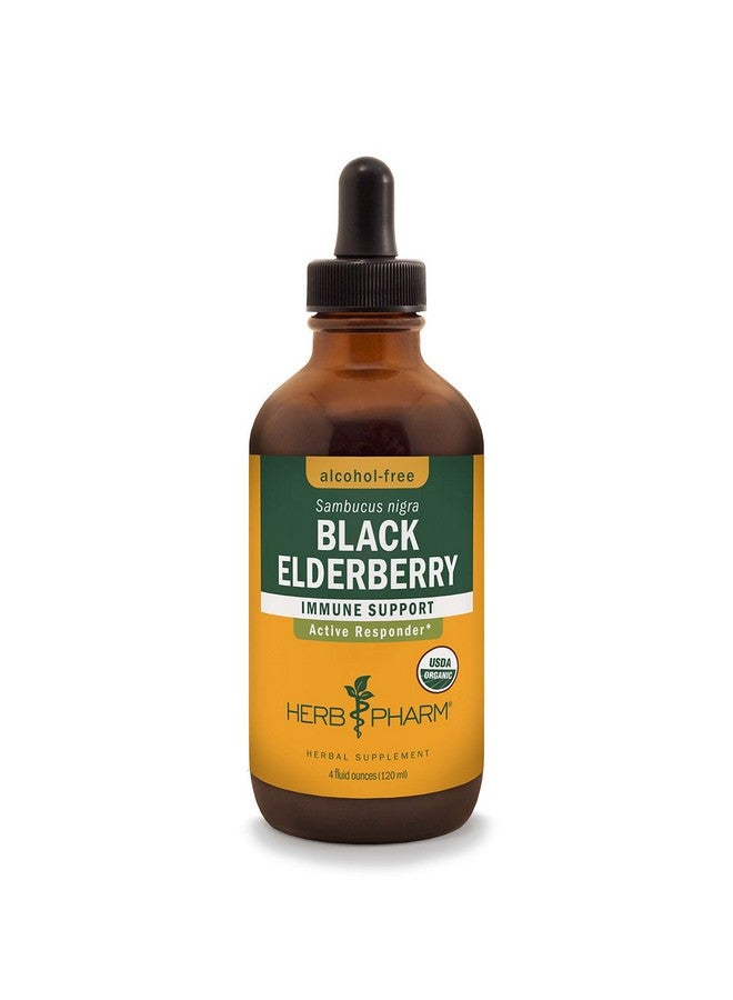 HERB PHARM Certified Organic Black Elderberry Liquid Extract For Immune System Support Alcoholfree Glycerite 4 Ounce - Image 2