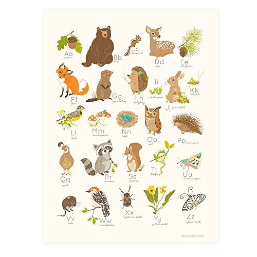 Sea Urchin Studio Sea Urchin Studio Alphabet Poster Woodland Forest 12 x 16