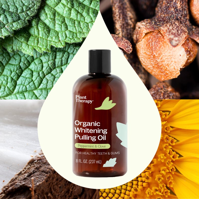 Plant Therapy Organic Whitening Pulling Oil 8 oz Peppermint & Clove, Naturally Whitens Teeth, Freshens Breath & Supports Gum Health, Helps Calm Oral Irritation and Discomfort, Natural Essential Oils - Image 4