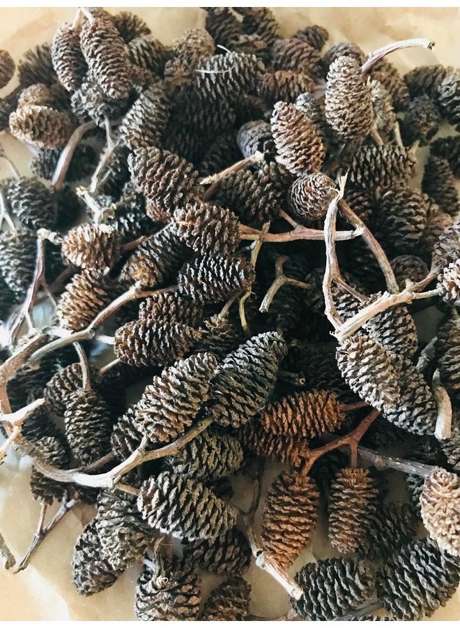 Hexagrowth Alder Cones 30 Pack, Full of Tannins, Enhance Immunity, Promote Natural Habitat, Easy to Use, Aquarium Conditioner, Natural Food Source, Shrimp Betta breeding, Size 0.5" to 1.5" - Image 4